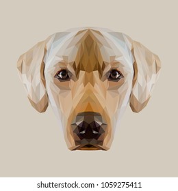 Labrador Retriever low poly design. Triangle vector illustration.