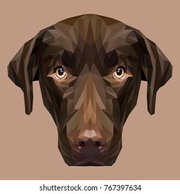 Labrador Retriever low poly design. Triangle vector illustration.