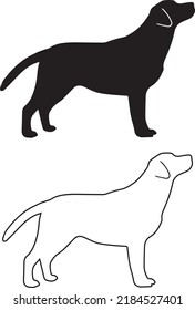 labrador retriever outline