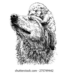 Labrador retriever and puppy on head hand drawn vector