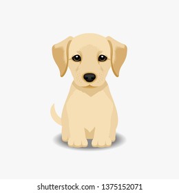 Labrador Retriever Puppy Vector Illustration. Dog isolated