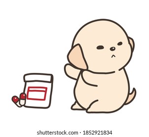 The labrador retriever puppy who don't like taking medicine.