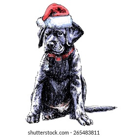 2,892 Labrador christmas hat Images, Stock Photos & Vectors | Shutterstock