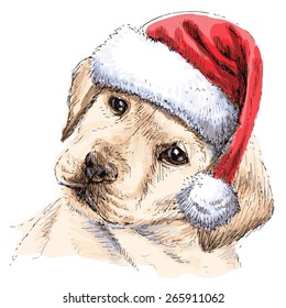 Labrador Retriever with santa claus hat hand drawn vector , use for christmas background