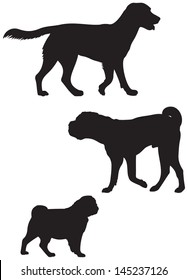 Labrador retriever, Shar Pei and Pug dog breed vector silhouettes