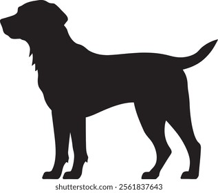 Labrador Retriever Silhouette Vector Illustration White Background