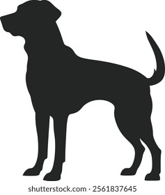 Labrador Retriever Silhouette Vector Illustration White Background