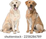 Labrador Retriever sitting dog. Cute Lab logo design, popular colors, Lab breed
pet character postcard art. Funny dog mascot. Detailed chocolate, brown, and yellow retriever illustration. Sitting pose