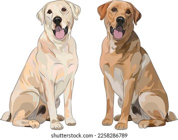 Labrador Retriever sitting dog. Cute Lab logo design, popular colors, Lab breed
pet character postcard art. Funny dog mascot. Detailed chocolate, brown, and yellow retriever illustration. Sitting pose