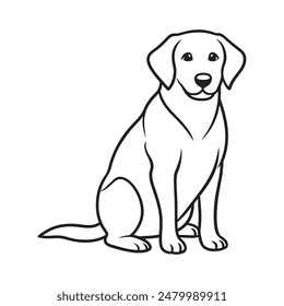 Labrador retriever in the sitting position facing