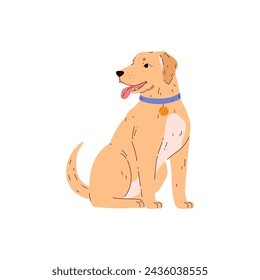 Labrador retriever sitting vector illustration. Cute friendly pet with beige and white wool. Cartoon dog with collar and pendant tongue hanging out isolated. Domestic canine purebred animal portrait