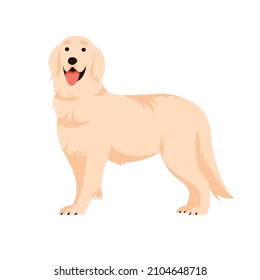 Labrador recuperador parado en el suelo aislado simple ilustración plana vectorial. Raza pura de caza con adorable elemento de diseño de sonrisa.