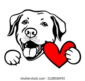 Labrador Retriever With Valentine  Heart, Yellow Lab Face