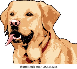 Labrador Retriever Vector Drawing with friendly face