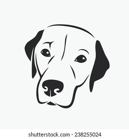 Labrador Retriever - vector illustration