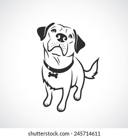 Labrador Retriever - vector illustration