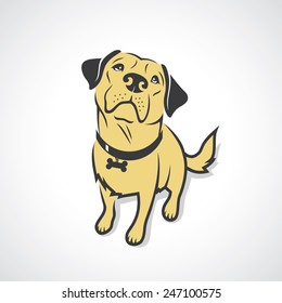 Labrador Retriever - vector illustration