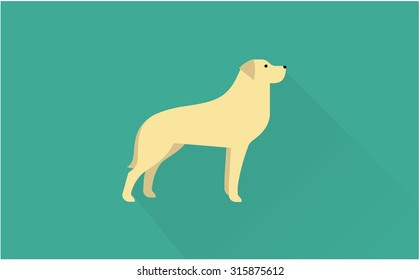 labrador retriever vector illustration