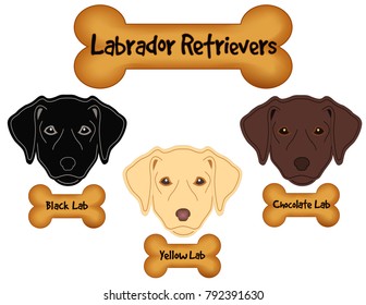 Labrador Retrievers,  Black, Chocolate, Yellow Labs, Dog Bone Treats
