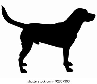 Labrador silhouette