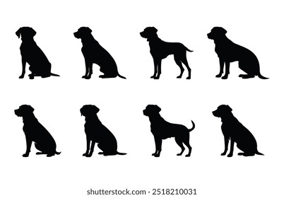 Conjunto de Silhuetas Vetoriais Labrador, Conjunto de Silhuetas Pretas Dog Clipart