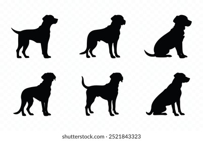 Labrador Silhueta Vetor Pacote, Labrador Retriever Dog Black Clipart Set