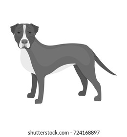 Labrador, single icon in monochrome style.Labrador, vector symbol stock illustration web.