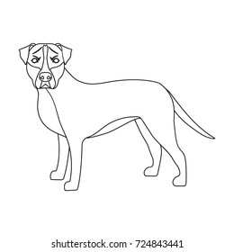 Labrador, single icon in outline style.Labrador, vector symbol stock illustration web.