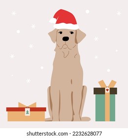 labrador sits, dressed up in a santa claus hat. New Year illustration. Christmas. Gifts and snow.