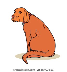 Labrador sits near a bowl of food and looking back. Vector hand draw illustration.