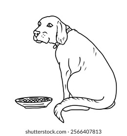 Labrador sits near a bowl of food and looking back. Vector hand draw illustration.