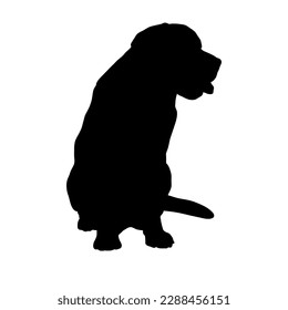 Labrador sitting Dog silhouette. Dog breed. Vector Animal. Pet