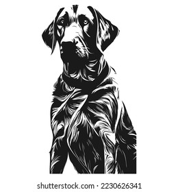 Labrador, Vektorgrafik, handgezeichnet, Vektorgrafik, schwarz-weiß
