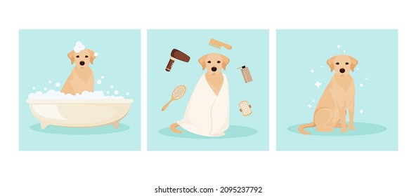 Labrador washes in the bathroom. A set of illustrations. Animal care. Grooming. Cartoon design.
