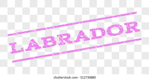 Labrador watermark stamp. Text tag between parallel lines with grunge design style. Rubber seal stamp with unclean texture. Vector violet color ink imprint on a chess transparent background.