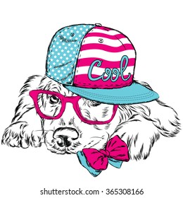 Labrador wearing a cap and a tie. Vector dog. Hipster. Vector illustration for greeting card, poster, or print on clothes.