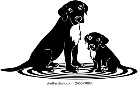 Labradors dogs sitting on rug, poppy and mother dog