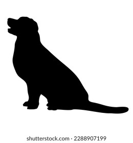 Labrodore sits Dog silhouette. Pet. Animal. Vector isolated. Dog breed