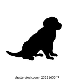Labrodore is sitting Dog puppies silhouette. Baby dog silhouette Puppy breeds 