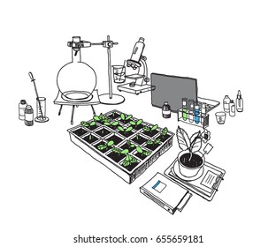 lab.study of plants, chemistry. Vector hand-drawn sketch.