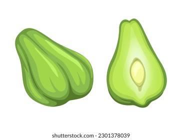 Labu Siam aka Chayote vegetable symbol whole and slice set cartoon illustration vector