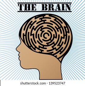 labyrinth brain