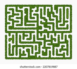 Labyrinth of green hedge with three entries on white background. Maze garden. Vector illustration. Education logic game for kids. Brain trainer. Find the way and right solution for exit.