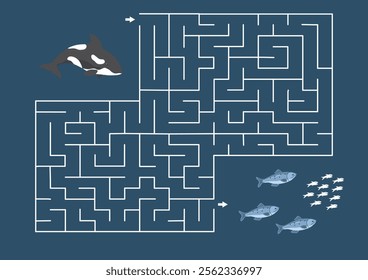 Labyrinth, Maze game for children. Logical puzzle for kids. Quest to find the right path for a Killer whale to the fish. Vector illustration.