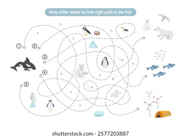 Labyrinth, Maze game for children. Logical puzzle for kids. Quest to find the right path for a Killer whale to the fish. Vector illustration.