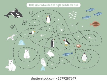 Labyrinth, Maze game for children. Logical puzzle for kids. Quest to find the right path for a Killer whale to the fish. Vector illustration.