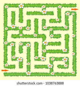 Labyrinth. Maze game for kids. Green grass and chamomiles