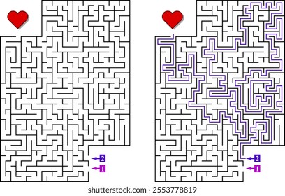 Labyrinth with several entrances. Find the right way and reach the exit of the maze. Mental educational game template with clue. Vector illustration.
