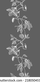 lace border, clematis flowers, vector illustration