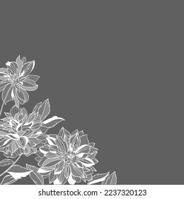 lace dahlias flowers and foliage. Vector illustration, bouquet.